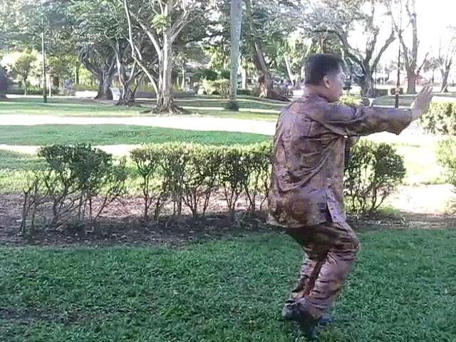 Sun Style Taijiquan